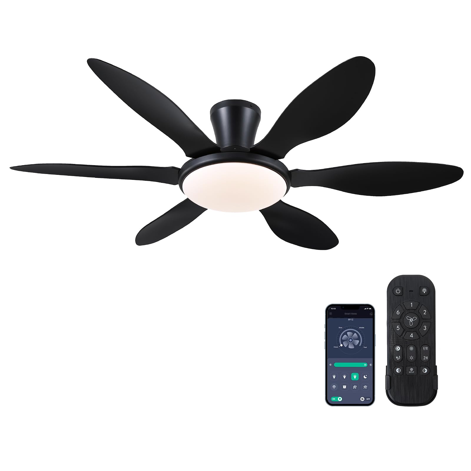 Ceiling Fans with Lights, 51 inch Modern Black Low Profile Ceiling